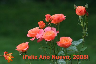 ¡Feliz Año Nuevo, 2008!